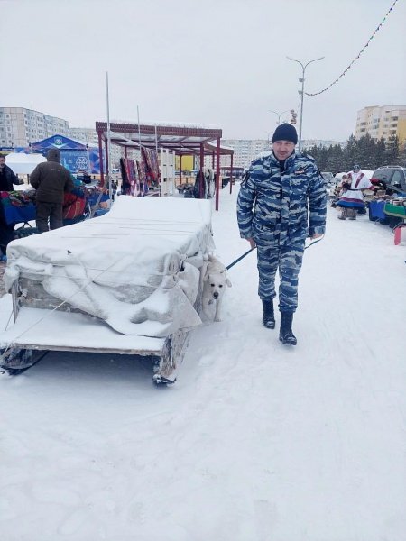 Полицейские Надымского района обеспечили правопорядок при проведении XXVIII Открытых традиционных соревнований оленеводов